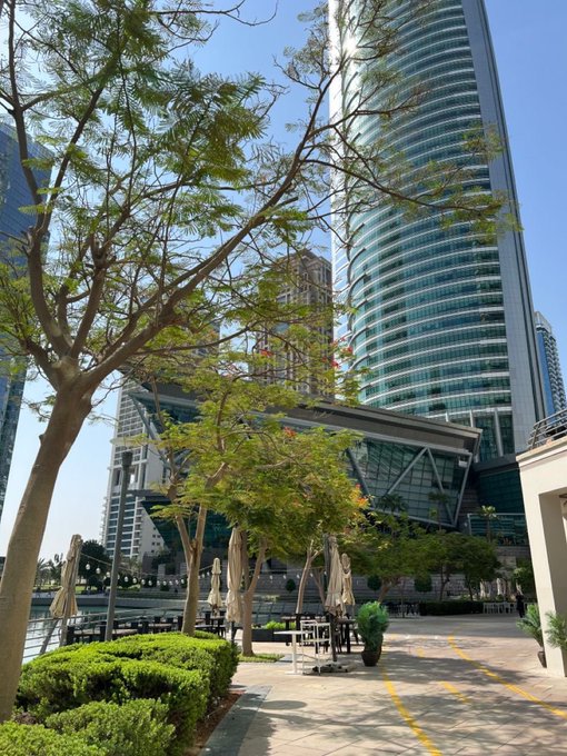 A sunny urban plaza with tall modern skyscrapers, trees, and closed café umbrellas, captioned with a $GINNAN crypto call at $18K MC and contract address 0xb47ebe08ed17b0f6a51e8fd8050ab5e9ca1dcc2b, the bright, grind-on setting visually matching the upbeat "Happy Wednesday" promotional tone.