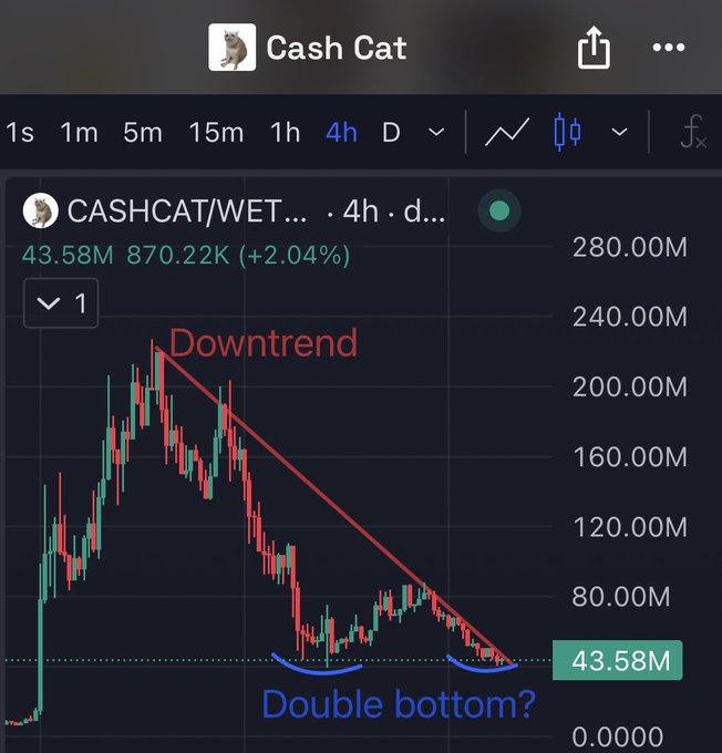 A 4-hour candlestick chart of $CASHCAT/WET shows a downtrend from ~240M to a current price of 43.58M (+2.04%), with annotations highlighting a potential "Double bottom?" pattern forming at the lows.