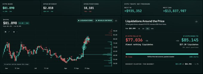 A financial dashboard showing HYPE market data, including a market cap of $81.09B, 24-hour open interest of $2.01B, 18,101 open positions, and a price chart displaying $77.036 with liquidations clustered around $85.145.