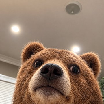 A close-up, low-angle shot of a brown bear's face looking directly at the camera, taken indoors with ceiling lights visible above.