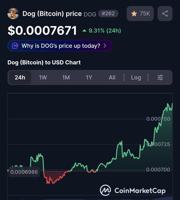 A CoinMarketCap screenshot showing the Dog (Bitcoin) price ticker 'DOG' (#262) at $0.00007671, up 9.31% in 24 hours, with a green price chart.