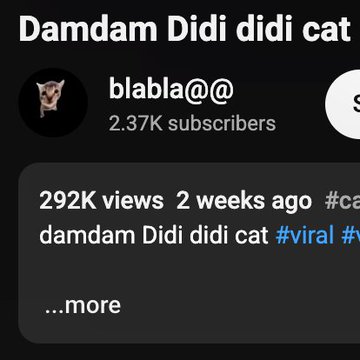 The image shows a YouTube video titled "Damdam Didi didi cat" with 292K views from 2 weeks ago, posted by user "blabla@@" who has 2.37K subscribers. This relates to the post about the viral "Dam Dam Didi Didi" dancing cat meme, which is associated with the $DAMDAM token and is noted for its catchy, brainrot-style song reminiscent of Baby Shark.