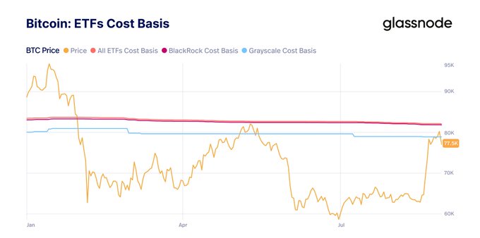 A financial chart from Glassnode titled 'Bitcoin: ETFs Cost Basis' displaying BTC Price along with All ETFs Cost Basis, BlackRock Cost Basis, and Grayscale Cost Basis throughout the year, showing a recent BTC price of 77.5K.