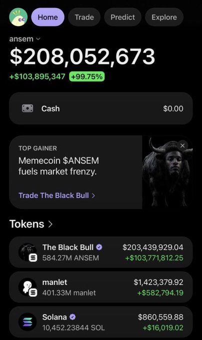 A crypto portfolio screen shows a balance of $208,052,673 for 'ansem' with a +99.75% gain, featuring top gainer 'The Black Bull' (ANSEM) at $203,439,929.04.