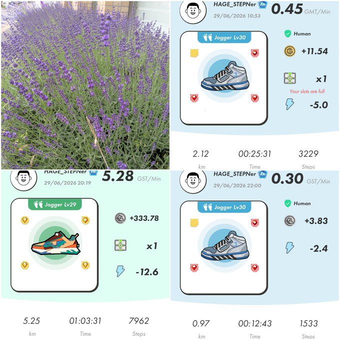 A fitness tracking collage showing lavender plants and screenshots from a StepN-style move-to-earn app with a user named HAGE_STEPner, displaying Jogger Lv30 sneakers, earnings in GST, and stats like 5.25 km, 5.28 GST/Min, and 0.45 GST/Min.