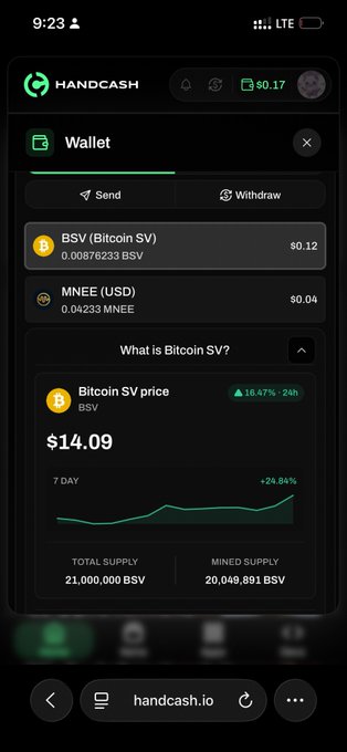 HandCash wallet showing BSV (Bitcoin SV) priced at $14.09, up 16.47% in 24h and 24.84% over 7 days, with the user holding 0.00876233 BSV ($0.12)—illustrating HandCash as a tool for checking live BSV price and balances.