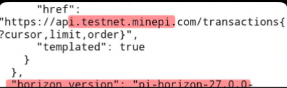 A snippet of code showing an API configuration with the URL 'https://api.testnet.minepi.com/transactions', cursor and limit parameters, and 'horizon_version': 'pi-horizon-2.7.0'.