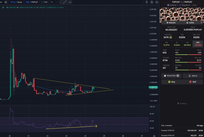 A cryptocurrency trading chart for the POPCAT/USD pair on Raydium shows candlestick patterns forming a descending triangle with a symmetrical triangle on the RSI indicator below.