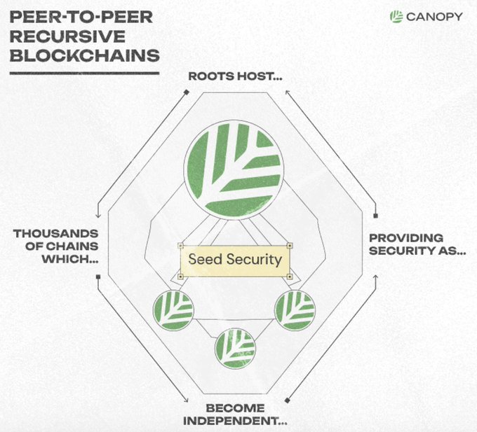 An infographic titled 'PEER-TO-PEER RECURSIVE BLOCKCHAINS' by Canopy, illustrating 'Seed Security' in the center with text about 'ROOTS HOST,' 'THOUSANDS OF CHAINS,' 'PROVIDING SECURITY,' and 'BECOME INDEPENDENT.'