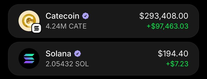 A cryptocurrency portfolio screenshot showing holdings of Catecoin (4.24M CATE valued at $293,408.00, +$97,463.03) and Solana (2.05432 SOL valued at $194.40, +$7.23).