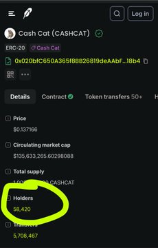A screenshot of the Cash Cat (CASHCAT) ERC-20 token details page on Etherscan, showing 58,420 holders (circled in green), a circulating market cap of around $135.6 million, and a price of $0.137166.
