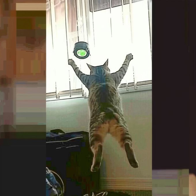 A photograph of a tabby cat leaping into the air, reaching its front paws toward a window with a green toy or treat attached to the glass.