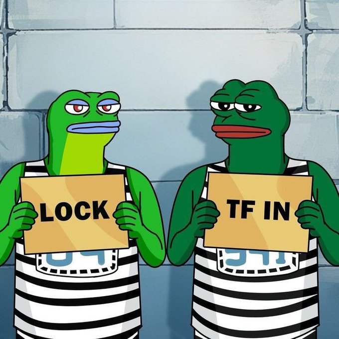 Two Pepe the Frog characters in striped prison uniforms holding cardboard signs that together read 'LOCK TF IN' against a brick wall background.