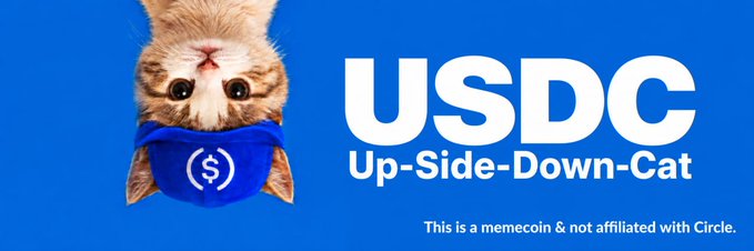 A promotional banner for a memecoin called "USDC Up-Side-Down-Cat" featuring an upside-down orange tabby kitten wearing a blue shirt with a dollar sign, with a disclaimer that it is not affiliated with Circle.