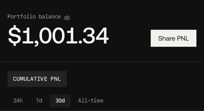 A portfolio balance display showing '$1,001.34' with a 'Share PNL' button and tabs for 24h, 7d, 30d (selected), and All-time cumulative PNL.