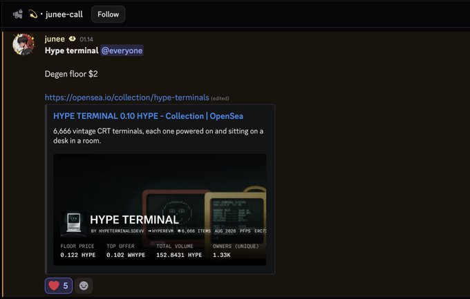 A Discord message from 'junee' in the 'junee-call' channel announcing a 'Degen floor $2' listing for the 'HYPE TERMINAL 0.10 HYPE' NFT collection on OpenSea, which features 6,666 vintage CRT terminals.