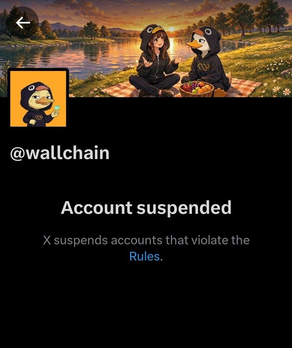 The image shows a social media post with a black background, featuring a cartoon duck character wearing a hoodie sitting next to two ducks. The post includes text that reads "Account suspended" and "X suspends accounts that violate the rules." This message seems to be directed towards wallchain's account, suggesting an issue or disagreement between them and another user.