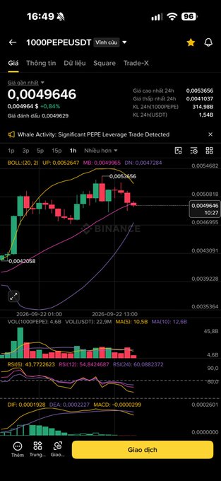 A screenshot of the Binance mobile app showing a trading chart for the 1000PEPEUSDT pair, displaying a current price of 0.0049646, along with candlestick data, Bollinger Bands, RSI, and MACD indicators.