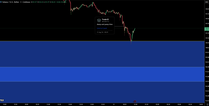 A TradingView candlestick chart of Solana (SOL/USD) shows a sharp decline from around $103 to a low near $95.97, with blue shaded zones marking lower support areas (~$96, $92, $90, $96). The chart visually reflects the post's commentary about wanting a deeper dump into the $95-98 zone before a potential rally toward $150.