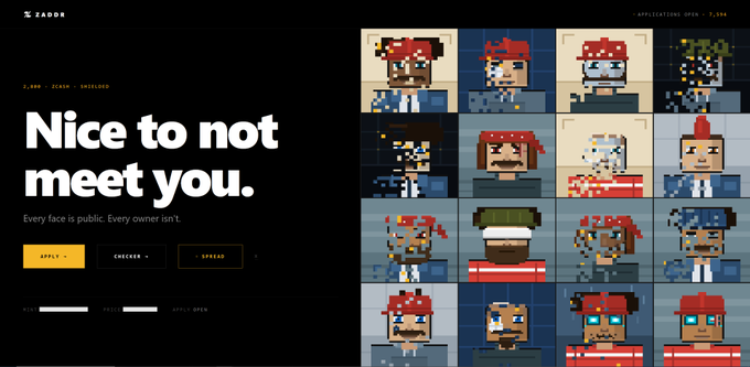 A webpage for Zaddle featuring the headline 'Nice to not meet you' with the tagline 'Every face is public. Every owner isn't,' alongside a grid of pixelated crypto-punk-style NFT avatars.