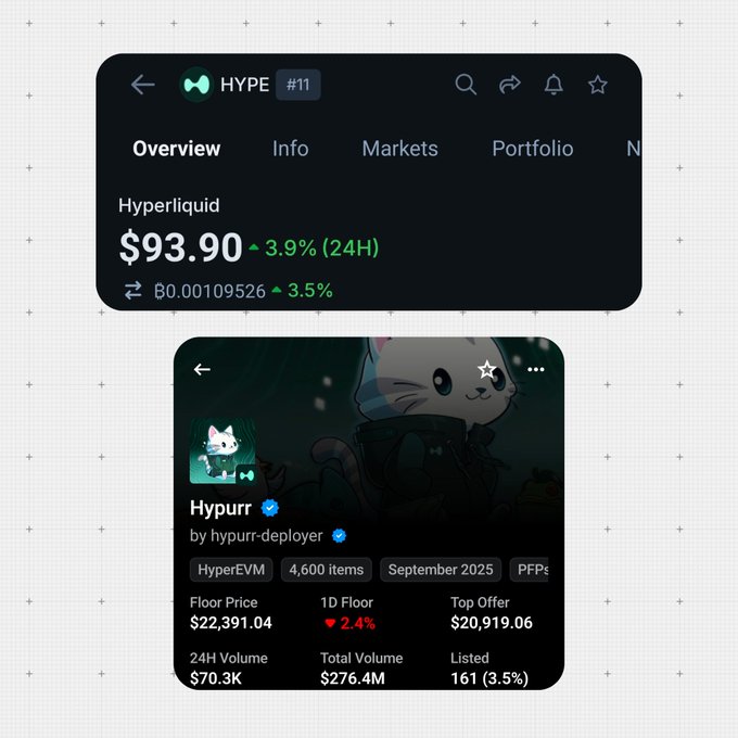 Two mobile app screens showing crypto/NFT data: the top displays 'Hyperliquid (HYPE) #11' at $93.90 up 3.9% (24H), and the bottom shows the 'Hypurr by hypurr-deployer' NFT collection with a floor price of $22,391.04.