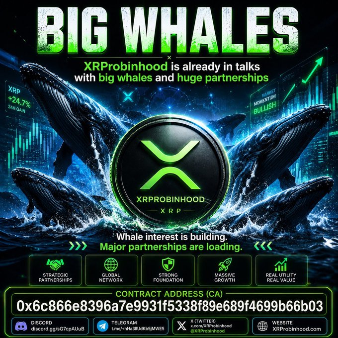 A bold promotional graphic for "XRProbinhood" (XRP) features a central black and green XRP coin flanked by breaching whales, claiming "XRProbinhood is already in talks with big whales and huge partnerships." The image highlights a +24.7% 24H gain, a bullish market momentum chart, and lists key pillars—Strategic Partnerships, Global Network, Strong Foundation, Massive Growth, and Real Utility—along with the contract address 0x6c866e8396a7e9931f5338f89e689f4699b66b03, visually reinforcing the post's theme about building whale interest and major partnerships.
