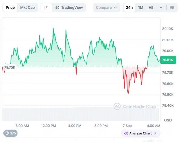 A CoinMarketCap chart displays Bitcoin's price holding around $79.61K-$79.90K (peaking near $80.10K) over a 24-hour period, visually supporting the post's claim of Bitcoin's resilience near the $80,000 mark despite escalating geopolitical tensions in the Middle East.