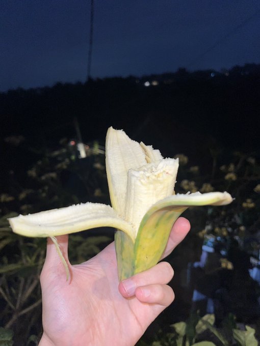 A hand holds a partially peeled banana with its green stem and outer skin still attached, photographed at dusk with dark foliage and distant lights in the background.