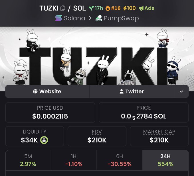 The image shows a trading dashboard for the $TUZKI token on Solana via PumpSwap, displaying a price of $0.0002115, a market cap and FDV of $210K, with a 24H gain of 554% and 6H dip of -30.55%. This visual supports the post's claim that TUZKI performed well overnight, with the 554% 24-hour surge backing the poster's bullish sentiment about the token's price potential and upcoming team developments.