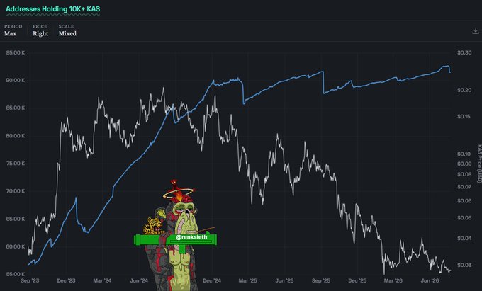 A crypto chart titled "Addresses Holding 10K+ KAS" displays $KAS price dropping from ~$0.18 to $0.03 while the blue line of large-holder addresses climbed from 85K to over 91K, visually confirming the bullish divergence described in the post as "bigger holders kept showing up" despite price bleeding.