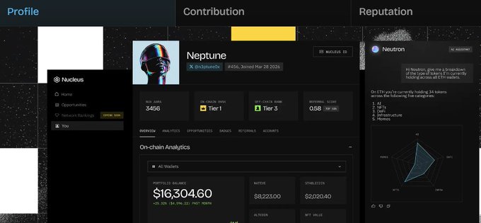 Dashboard interface showing Profile, Contribution, and Reputation sections for user 'Neptune' on Nucleus platform, displaying on-chain wallet balance of $16,304.60.