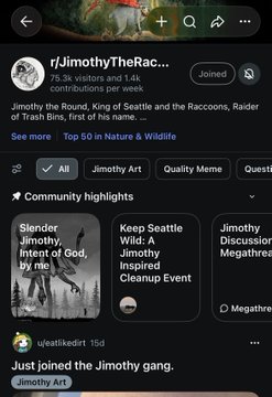 A Reddit community page for r/JimothyTheRaccoon with 75.3K visitors and 1.4K contributors, featuring posts about Jimothy the Raccoon, Raiden, and Trash Bird, with community highlights including Jimothy Wild discussions.
