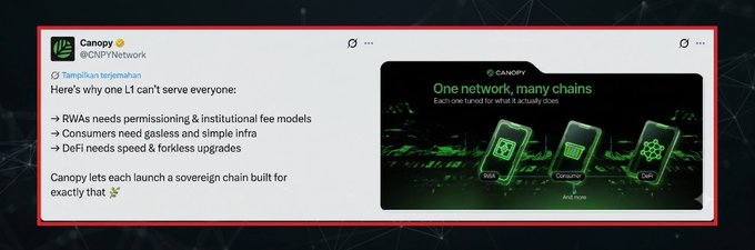 A tweet from @CIPNetwork announcing 'One network, many chains' with bullet points explaining why L1s can't serve RWA, Consumer, and DeFi needs, accompanied by a Canopy network graphic.
