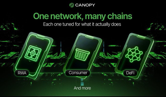 A promotional graphic for Canopy featuring the headline "One network, many chains — Each one tuned for what it actually does," showcasing three smartphone icons labeled "RWA," "Consumer," and "DeFi," with the post emphasizing that teams should focus on building applications rather than managing blockchain infrastructure.