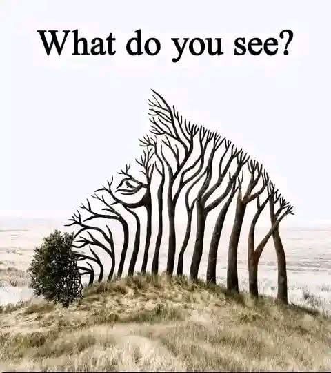 An optical illusion asking "What do you see?" showing a metal sculpture on a grassy hill that depicts bare trees, but also reveals the profile of a face in the negative space.