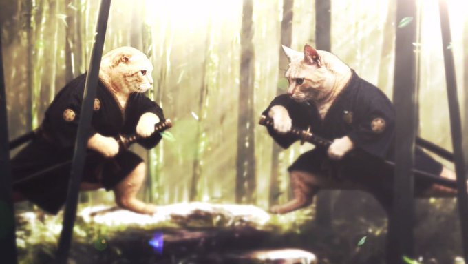 A cinematic, meme-style image of two cats dressed as samurai in dark kimonos, drawing swords in a bamboo forest, mirroring each other in a standoff.