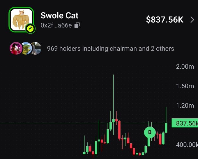 A profile for the 'Swole Cat' token on a DEX platform shows a value of $837.56K, 969 holders including 'chairman', and a candlestick price chart.