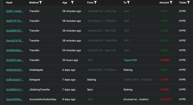 The image displays a transaction history showing multiple transfers of 1.000 HYPE from various wallets to "Self," alongside earlier transactions including a transfer of 0.98867 HYPE to "HyperEVM" and staking activities involving 2.000 HYPE with validators, providing visual evidence supporting the claim that HyperLabs distributed HYPE tokens across multiple wallets that ultimately funneled funds into a specific staking validator.