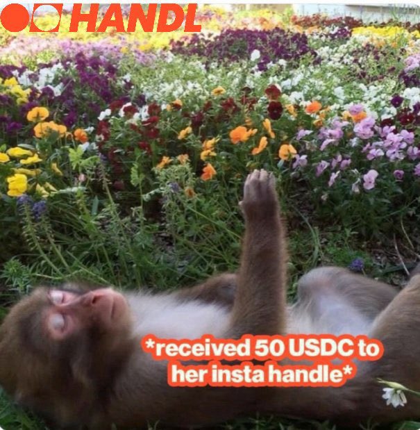 A monkey lies on its back in a colorful flower field with text reading "OO HANDL" at the top and "*received 50 USDC to her insta handle*" in the center.