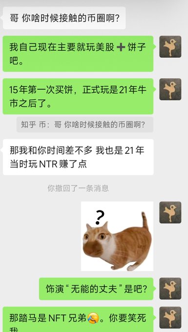 A Chinese chat conversation discussing cryptocurrency and NFTs, including a meme image of a confused cat.
