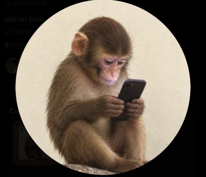 A circular profile picture of a small monkey intently looking at and holding a smartphone, with the text 'ape on fone' visible in the background.