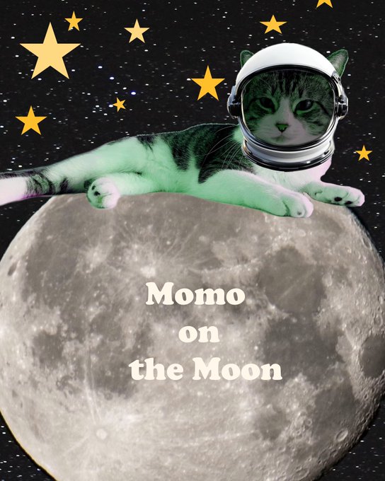 A digital collage shows a tabby cat wearing a white astronaut helmet, lying on a large detailed image of the moon against a starry black background. The text 'Momo on the Moon' is written in white letters across the lunar surface.