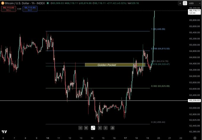 A Bitcoin/U.S. Dollar (BTC/USD) trading chart on the 1-hour timeframe shows price action around $66,113 with highlighted Fibonacci levels and a 'Golden Pocket' zone, indicating an upward trend.