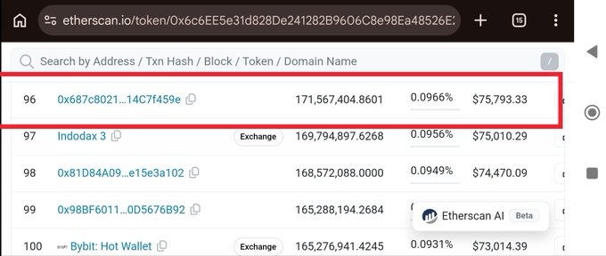 A web browser screenshot of Etherscan showing a token holders list with a red rectangle highlighting the entry '0x687c8021...14C7f459e' holding '171,567,404.8601' tokens.