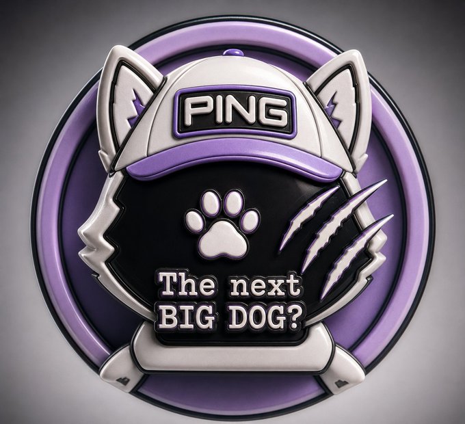 The image features a cartoon cat wearing a baseball cap with the word "PING" written on it, surrounded by purple paw prints. Below the cat's head, there is a banner that reads "The next big dog?" The text suggests that someone has sent $KOMA to Brian Sumner for a new project or idea related to dogs and baseball. The image also includes a caption about the market being hungry for a fresh narrative, which could be interpreted as an invitation to share ideas or stories related to dogs and baseball with others.