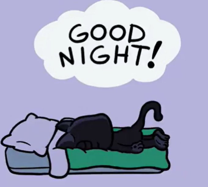 A black cat sleeps curled up on a green blanket with a thought bubble reading "GOOD NIGHT!" above it, matching the post's sign-off as a sweet "good night" send-off.