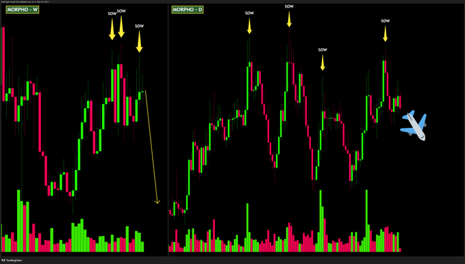 Two crypto trading charts labeled 'MORPHO' on weekly and daily timeframes, showing candlestick patterns with 'SOW' sell signals marked by yellow arrows and a blue sword emoji.