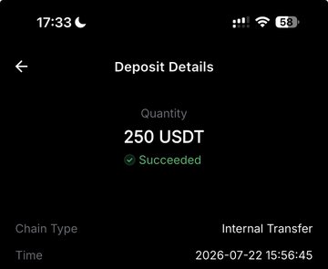 A screenshot of a "Deposit Details" page showing a successful internal transfer of 250 USDT completed on 2026-07-22 at 15:56:45. This aligns with the caption "not much but honest work," highlighting a modest but verified crypto deposit.