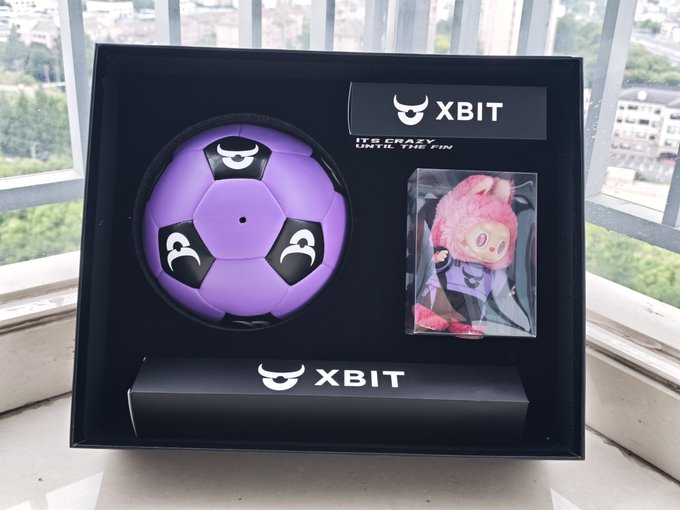 The image features a soccer ball, a toy, and some packaging for XBITDEX products displayed together in a box. The soccer ball has black and white designs, while the toy appears to be pink with a cartoon character design. The packaging includes a box of XBITDEX branded items such as a soccer ball and a stuffed animal. The post is about an item from XBITDEX that was recently purchased by someone named @XBITDEX.
