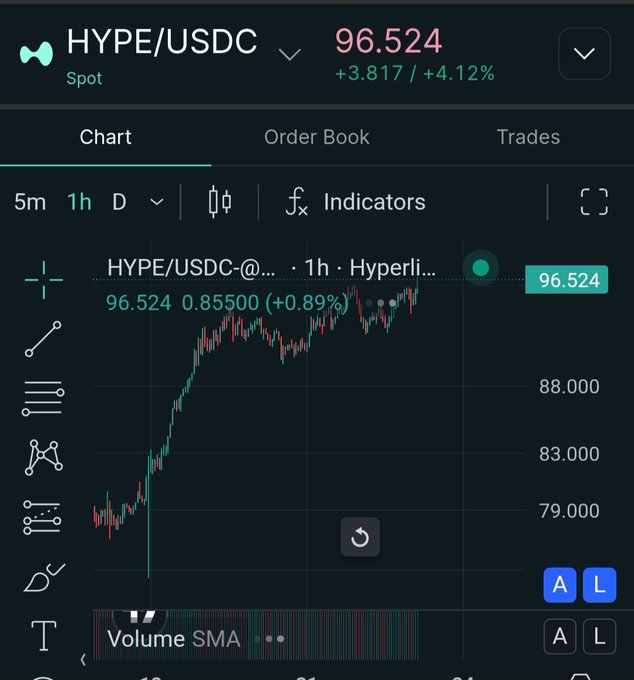 A cryptocurrency trading chart displaying HYPE/USDC spot price at 96.524, showing a 1-hour candle chart with an upward trend and +4.12% gain.